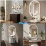 Dileci - Miroir Ovale LED 50x80 cm – Éclairage Intégré avec Lumière Blanche – Fonction Désembuage et Bouton Tactile – Idéal pour