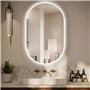 Dileci - Miroir Ovale LED 50x80 cm – Éclairage Intégré avec Lumière Blanche – Fonction Désembuage et Bouton Tactile – Idéal pour