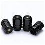 Auto Porte-Clé et Valve Pneu pour Mercedes Benz A C E S GLK CLA GLA GLC GLE CLS SLK AMG - Bouchon de Valve Noir