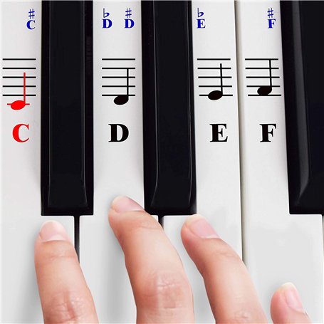 Autocollants Piano Pour Touches De Clavier 49/61/ 76/88 – Transparents Et Amovibles