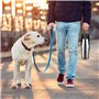 Gourde pour chien - 750 ml - En acier inoxydable - Pliable à 180° - Bouteille d'eau portable pour chien - Pour la marche, les pa
