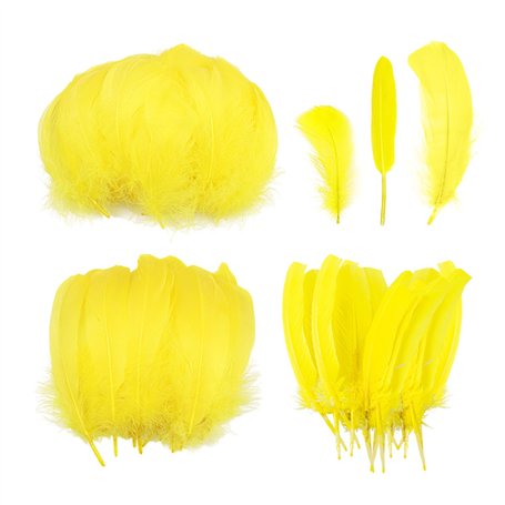 Lot de 300 plumes jaunes