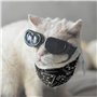 1 Petite Lunettes Pour Chien Et 1 Bandana Pour Chien, Lunettes Réglables, Accessoires Pour Animaux De Compagnie, Lunettes De Sol