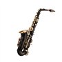 summina Saxophone Eb Alto Sax en laiton laqué doré 82Z Key avec gants rembourrés, chiffon de nettoyage, brosse pour saxophone