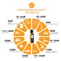 Sonomètre Numérique, Appareil Portatif, Sonomètre dB avec Fonction de Valeur d'alarme Programmable, Mesure du Testeur de Sonomèt