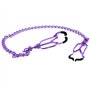 stoqucel Charm Purple Sexy Breast Clip, Pince de massage pour femme