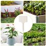 Lot de 62 étiquettes pour plantes avec 1 marqueur double face noir - Étiquettes en bois pour étiqueter les graines en pot, les h