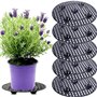 OUKEYI Lot de 6 supports de pot de fleurs ronds robustes en plastique pour intérieur et extérieur - 20 cm - Noir