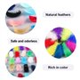 Plumes Bricolage Enfant