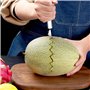 2 Pcs Outil à Découper les Fruits Éplucheur de Fruits Cuillère de Melon, Couteau à Fruits,Cuisine Multifonction en Acier Inoxyda