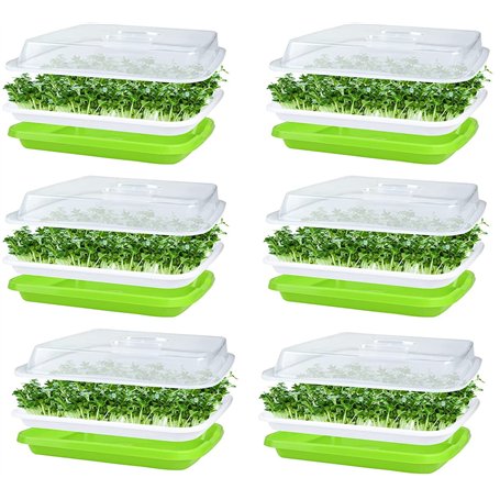 KAHEIGN 6 Pièces Plateaux De Germination De Graines avec Couvercle