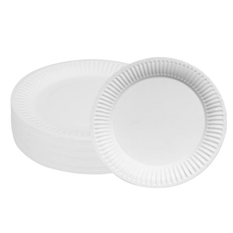 100 Assiette carton