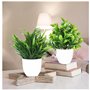 Tkxjry Lot De 4 Plantes Fausse Plante En Pot, Plantes Artificielles Interieur, Mini Plantes Artificielles Verdure, Plastique Fau