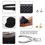 McNory Rivets en Cuir 480 Ensemble 3 Tailles Double Rivet Goujons Tubulaires en Métal avec 3 Pièces Outil de Fixation et Punch P