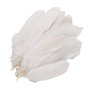 Lot de 100 plumes d'oie blanches pur de 15