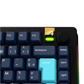 WENRENMK 50 Pièces Paille Reutilisable - Paille Plastique avec Brosse de Nettoyage - Paille en Sept Combinaisons de Couleurs - C