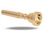 Xrten Embouchure Trompette 7C Plaqué, Accessoires Instrument de Musique(Or)