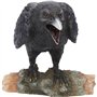 Nemesis Now Figurine appeau de Corbeau Noir 16 cm