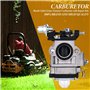 Nizirioo Carburateur Pour Débroussailleuse, Carburateur Debroussailleuse 43cc 49cc 52cc, Avec Tuyau Bougie D'Allumage Filtre À C
