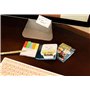 Freudian Slips Sticky Notes Booklet