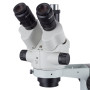 AmScope 3,5 x -90 X Simul-focal stéréo avec perche microscope avec une lumière fluorescente et appareil photo 3 Mp
