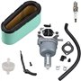 Carburateur pour Briggs et Stratton 791886 495935 690194 498061 499153 287707 28777 28N707 28N777 28P777 28Q77 14 CV 15 CV 15 6