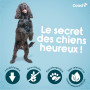 Coachi Friandises Naturelles pour Chiens - sans Céréales, Hypoallergéniques et Pauvres en Calories. Friandises Saines pour l’édu