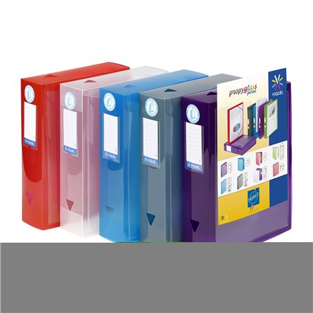 Viquel - Lot de 6 boites de classement en plastique personnalisable - Lot 6 boites à archive grande capacité - Boites de rangeme