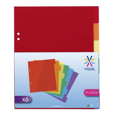 Viquel Intercalaires 6 positions en plastique format A5 - Multicolore