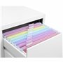Viquel - Lot de 8 dossiers suspendus en plastique RAINBOW PASTEL - Coloris pastels - Plastique résistant - Onglet d'identificati