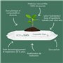 100% compostables et hypoallergéniques pour