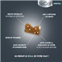 RIGA - SoCat Crock Dental - Friandises pour Chat - Biscuit Croquant - Favorise L'Hygiène Bucco-Dentaire - Riche en Vitamines - s