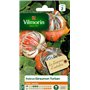 Vilmorin 3489042 Pack de Graines Potiron Giraumon Turban