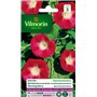 Vilmorin - Ipomée Scarlet O'Hara - semences pour plantations - Fleurs grimpantes 5 m annuelles - Variété vigoureuse et Floraison
