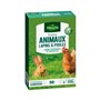 Vilmorin 4461312 Prairie Animaux Lapins et Poules