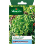 Vilmorin 3609742 Pack de Graines Laitue à Couper Salade Bol Vert
