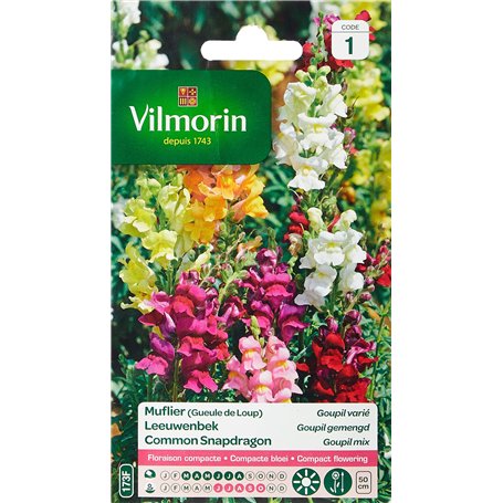 Vilmorin 5363041 Muflier Goupil Multicolore 9 x 0.5 x 16 cm