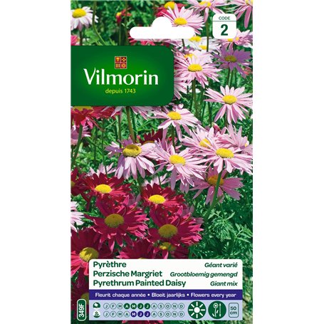 Vilmorin Pyrethre géant en mélange - Semences pour plantation - fleurs hautes vivaces 50 cm - Fleurit chaque année -Eloigne natu