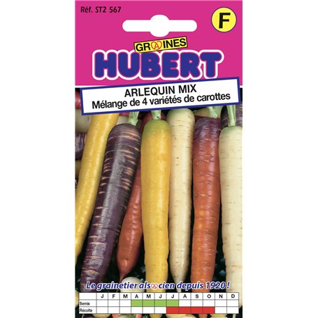 Graines de Carotte en Mélange de 4 Variétés Arlequin Mix - 1