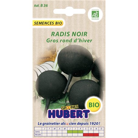 Graines de Radis Noir Gros Rond d'Hiver BIO - 5 grammes