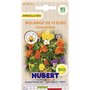 Graines de Fleur BIO Comestibles en Mélange - 2 grammes