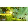 Nintendo Rayman Legends Definite Edition Switch
