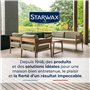 STARWAX - Détachant Rouille pour Sols Extérieurs - Elimine Les Traces de Rouille, Salpètre et Efflorescence sur Tous Types de So
