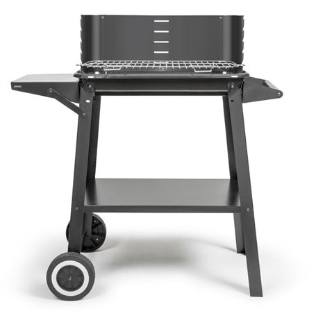 Barbecue a charbon - LIVOO - DOC328 - Inox - Surface de cuisson 48