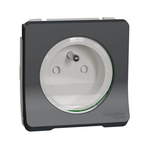 Schneider Electric - Mureva Styl - Prise de Courant 2P+T à vis - composable - IP55 - IK08 - Gris - MUR38030