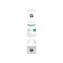 Schneider Electric R9F23116 Disjoncteur 16 A 230 V