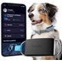 Invoxia Minitailz - Traceur GPS & Santé n°1 pour Chien - Alertes Anti-Fugue