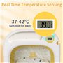 Leogreen Baignoire Pliable Bébé avec Coussin de Bain, Baignoire Bebe avec Thermomètre de Voyage Numérique Portable,Comprend un p