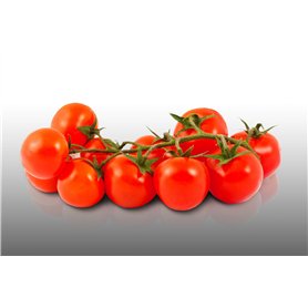 100 graines à semer - Le Grenier d'Abondance - TOMATE Cerise - Spécial Cocktail