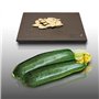 15 graines à semer - Le Grenier d'Abondance - COURGETTE Diamant Hybride F1 - Cucurbita Pepo